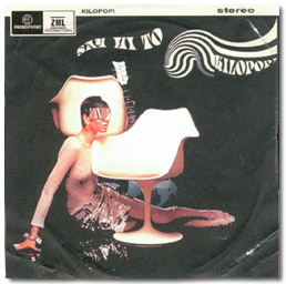 Record cover