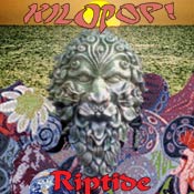 record cover